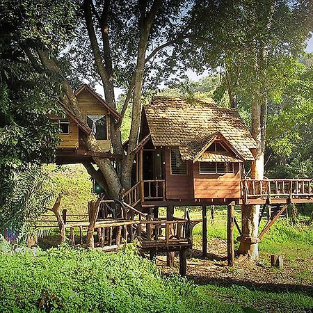 Rabeang Pasak Treehouse Resort 치앙마이 외부 사진