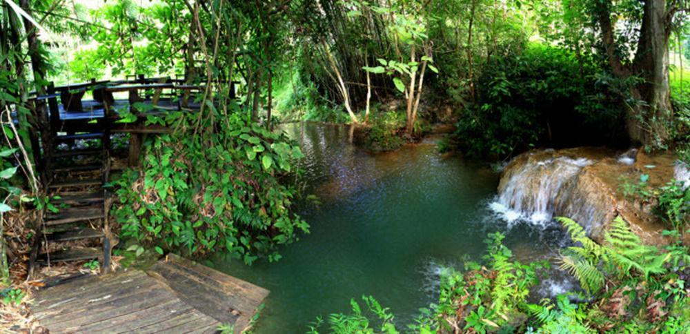 Rabeang Pasak Treehouse Resort 치앙마이 외부 사진