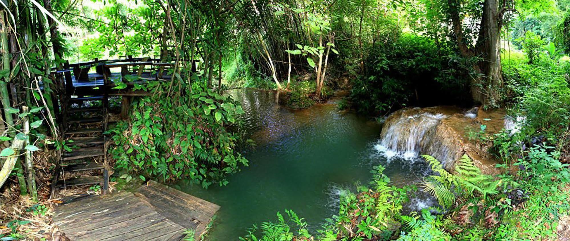 Rabeang Pasak Treehouse Resort 치앙마이 외부 사진